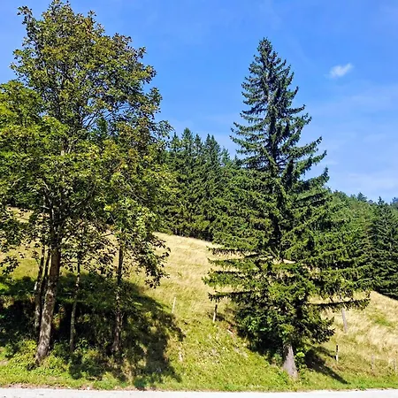 Oehlerhansl Apartman