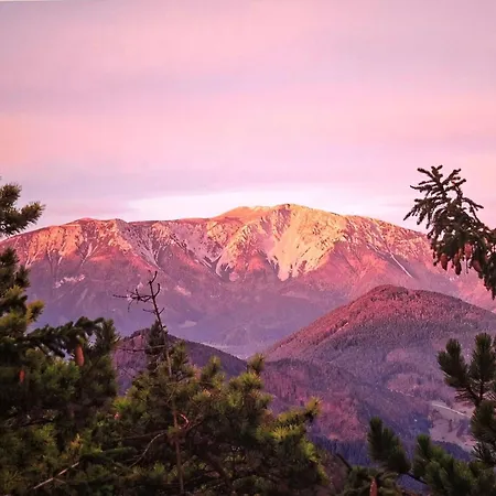 Oehlerhansl Apartman Puchberg am Schneeberg