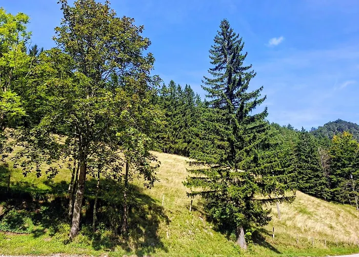 Oehlerhansl Lejlighed