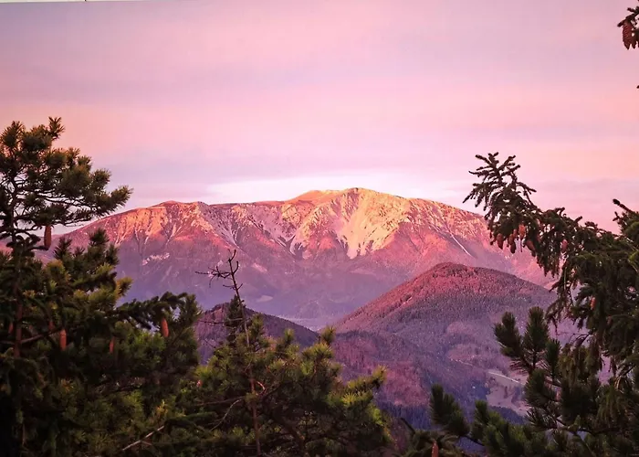 Oehlerhansl Lejlighed Puchberg am Schneeberg