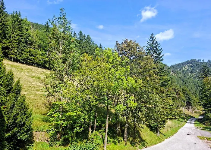 Oehlerhansl Lejlighed Puchberg am Schneeberg